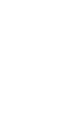 Falconcity